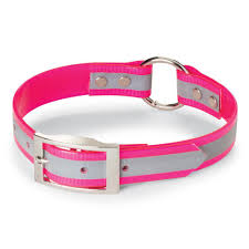 Godwin's 1" Reflective Dog Collar w/Ring In Center