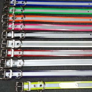 Godwin's 1" Dog Collar w/Relective Strip