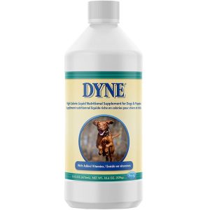 dyne high calorie supplement