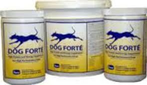 Dog Forte